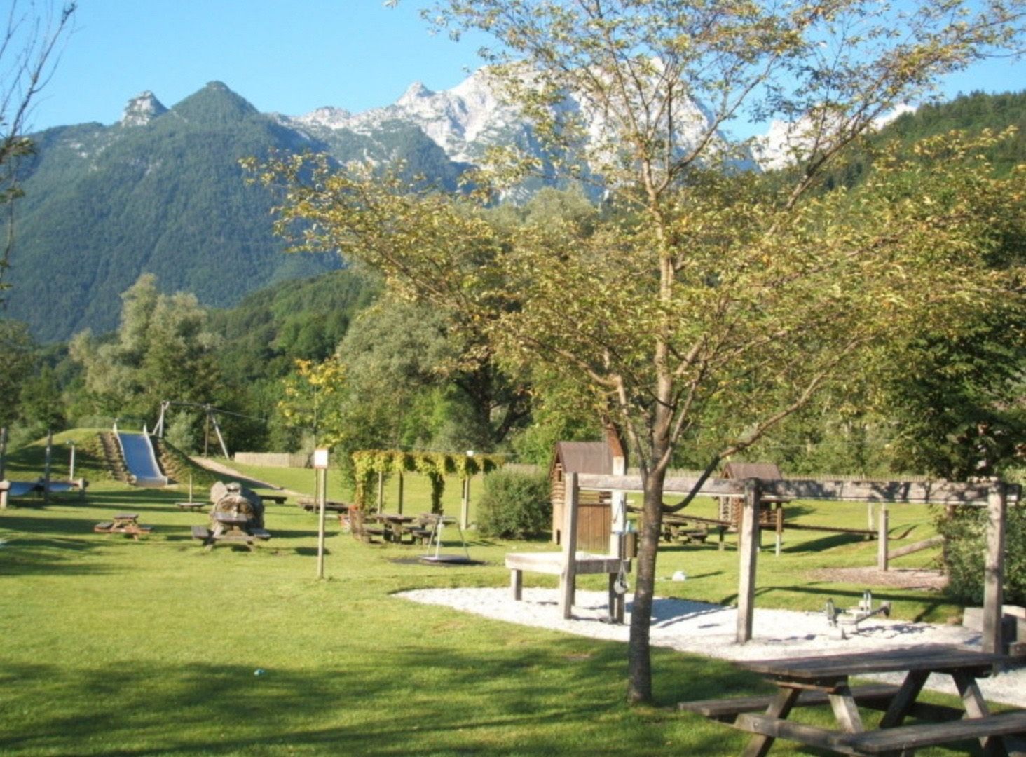 Grass, Nature, Outdoors, Park, Scenery, Tree, Vegetation, Lawn, Play Area, Grove