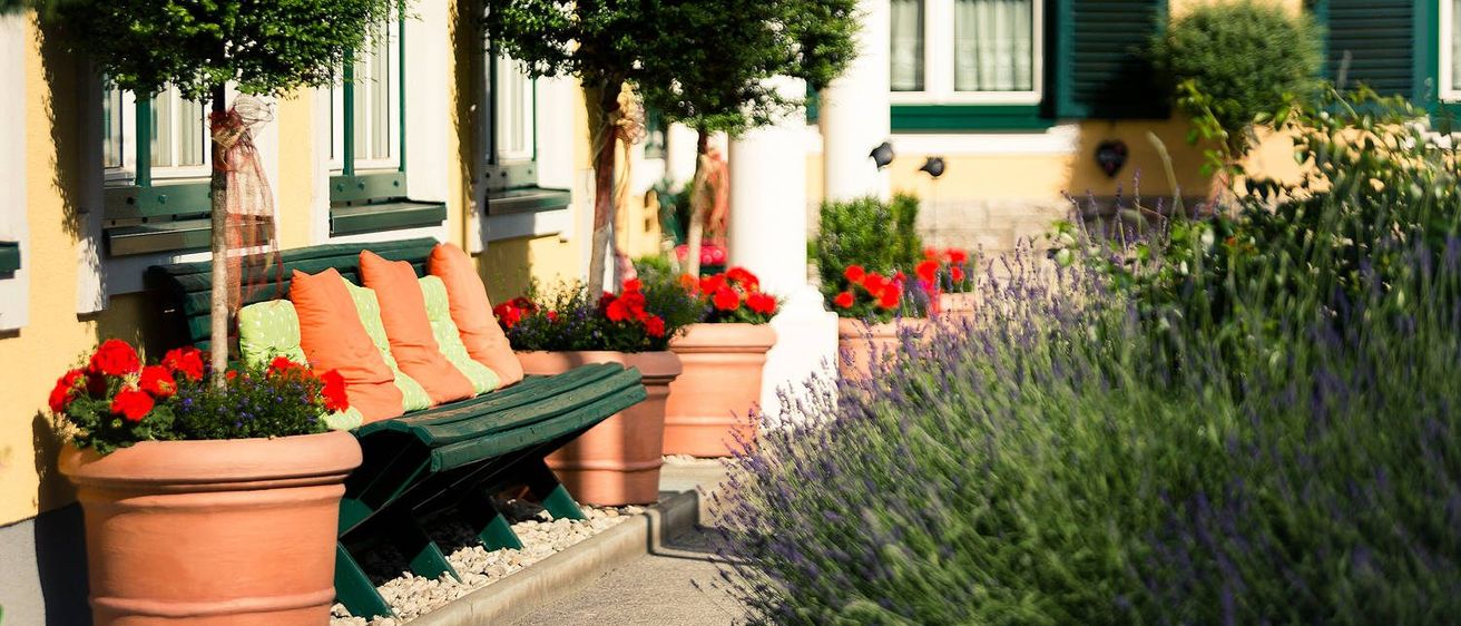 Bild enthält, Plant, Potted Plant, Planter, Pottery, Home Decor, City, Window, Tree, Flower, Neighborhood