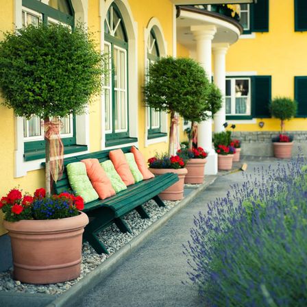 Ein hellgelbes Haus mit grünen Fenstern und einer grünen Bank davor, umgeben von Topfpflanzen und Blumen.