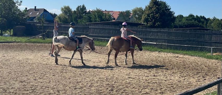 Bild enthält, Animal, Horse, Horseback Riding, Leisure Activities, Mammal, Person, Helmet