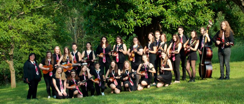 Bild enthält, Group Performance, Music, Music Band, Musical Instrument, Musician, Performer, Person, People, Grass, Indoors