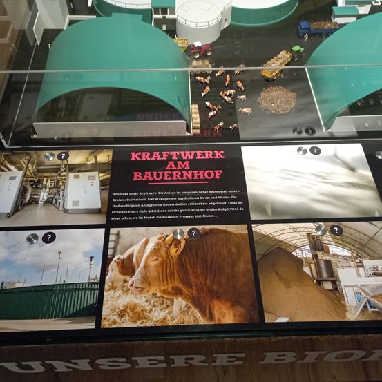 Bild enthält, Advertisement, Poster, Animal, Cattle, Cow, Livestock, Mammal, Lion, Wildlife, Screen