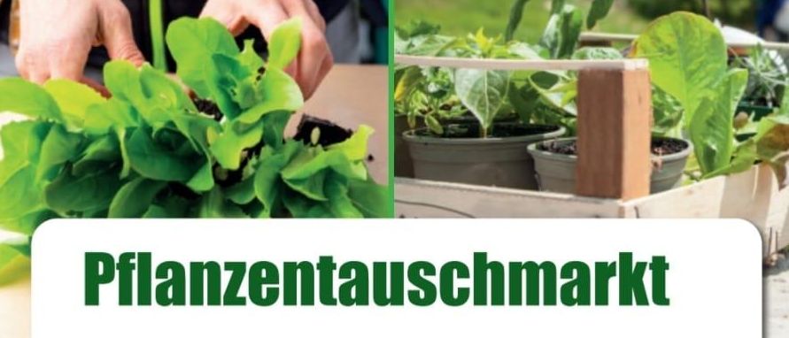 Ein Plakat für einen Pflanzentauschmarkt mit Gemüse-, Blumen-, Sträucher-, Stauden-, Samen-, Bäumchen- und Zimmerpflanzen. Es ermutigt, überschüssige Pflanzen mitzubringen, um sie zu tauschen oder gegen eine Spende zu kaufen/verkaufen. Die Veranstaltung bietet BIO Kaffee-Spezialitäten von David Steinbrenner.