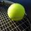 v1_migrated_image_18540456