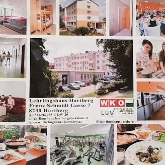 v1_migrated_image_47909302