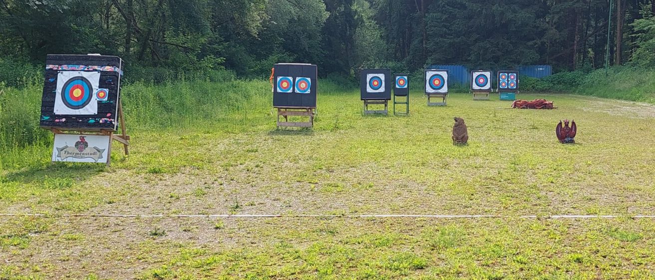 Bild enthält, Weapon, Person, Bow, Archery, Sport