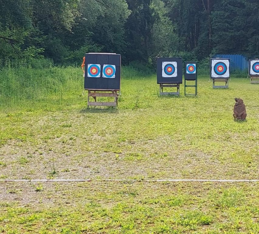 Bild enthält, Weapon, Person, Bow, Archery, Sport