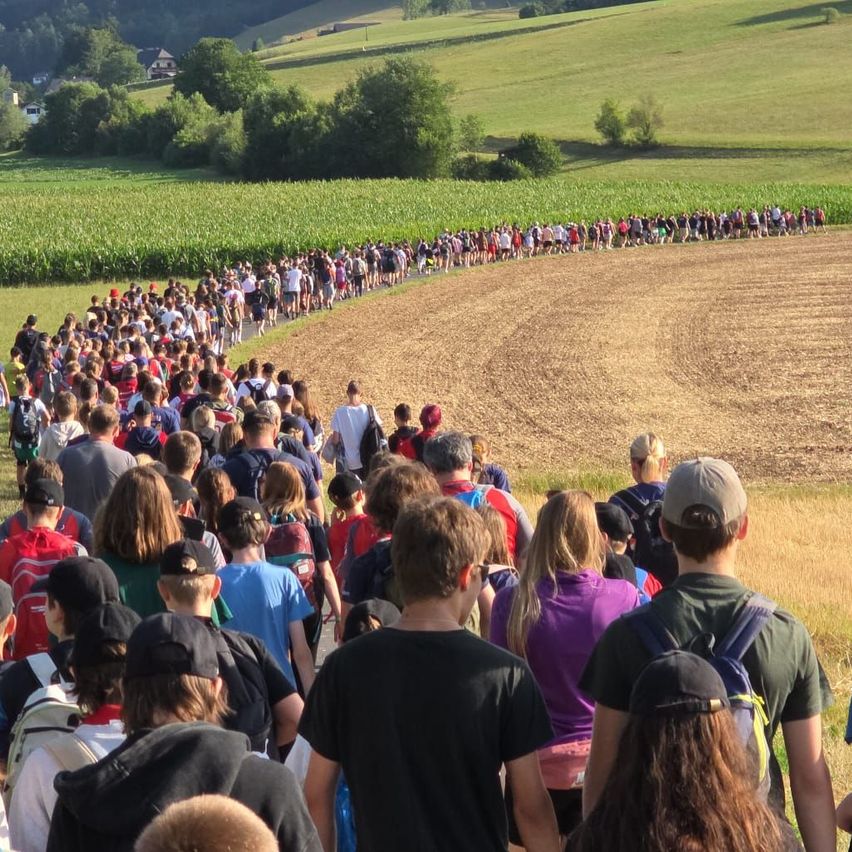 A large group of people are walking in a line through a field with green grass and trees in the background.