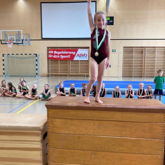Person, Acrobatic, Athlete, Gymnast, Gymnastics, Sport, Clothing, Shorts