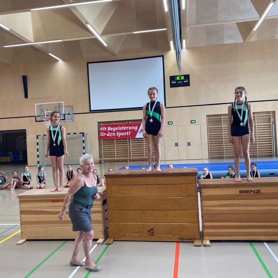 Adult, Female, Person, Woman, Clothing, Shorts, Footwear, Shoe, Cheerleading, Volleyball Game