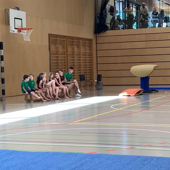 Boy, Male, Person, Teen, Basketball Game, Child, Female, Girl, Playing Basketball, People
