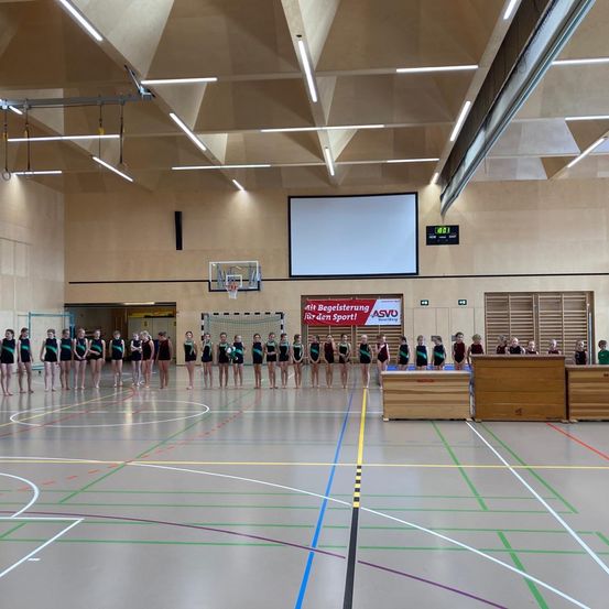 Sport, Volleyball, Volleyball Game, Person, People, Indoors