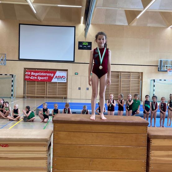 Person, Acrobatic, Gymnastics, Sport, Pilates, Working Out, Crowd, Hardware, Monitor, Screen