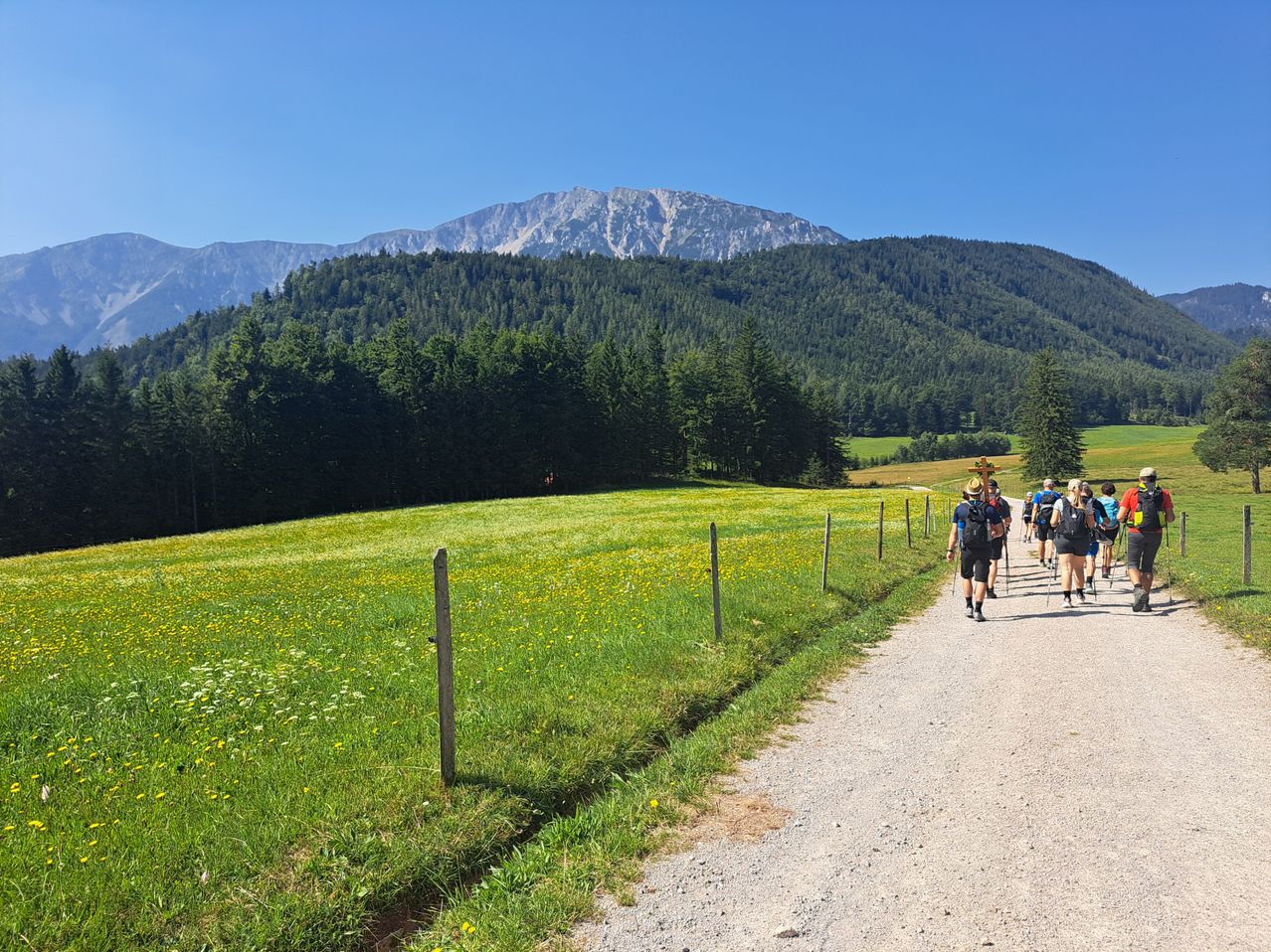 Eine Gruppe von Wanderern geht auf einem Feldweg in einer grasigen Wiese mit Bergen im Hintergrund.