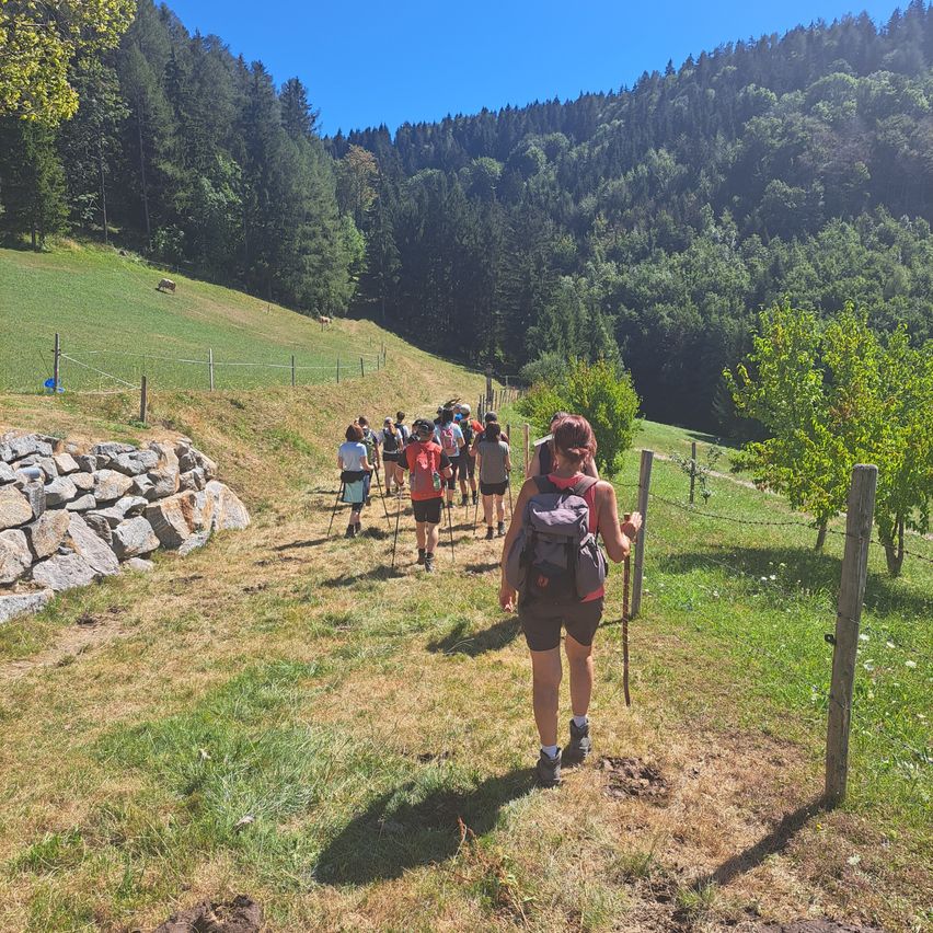 Wandergruppe mit Stöcken geht bergauf auf einem Feldweg in den österreichischen Alpen