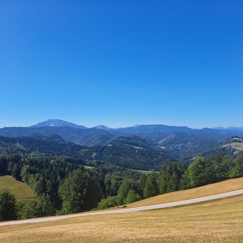Bergpanorama mit Wald und Wiese bei Schönwetter