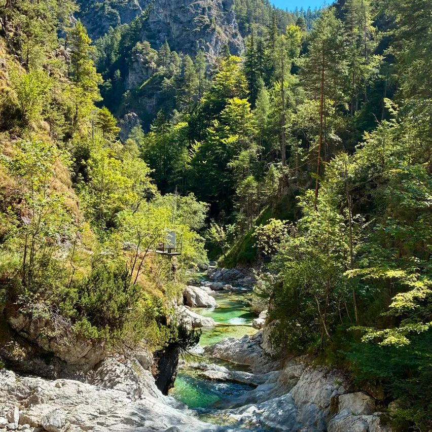 A serene mountain stream flows through a lush, green valley surrounded by rocky cliffs and dense forest.
