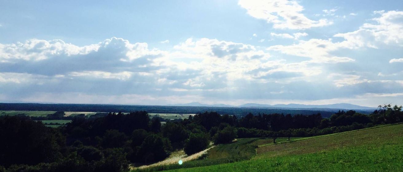 v1_migrated_image_26033471