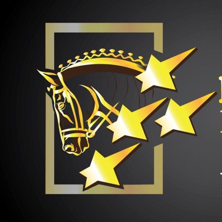 Ein goldener Stern-Logo auf schwarzem Hintergrund zeigt in gelbem Text 'High Class Horse Center', darunter steht in weissem Text 'Weikersdamm'.