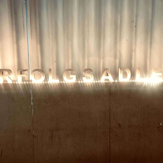 Das Wort "reolg sadle" ist auf weißem Hintergrund in silbernen Buchstaben geschrieben und von einem Licht beleuchtet.