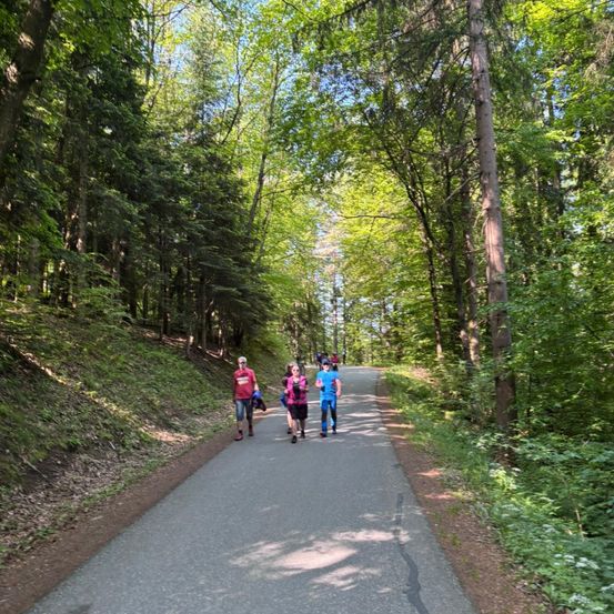 Eine Gruppe von Menschen joggt an einem sonnigen Tag auf einer Straße im Wald.