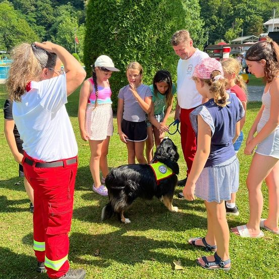 Mehrere Kinder mit einem Erwachsenen beobachten einen Hund mit Sicherheitsweste an einem sonnigen Tag.