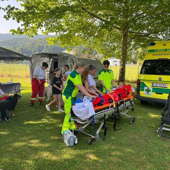 Ein medizinisches Team transportiert einen Patienten auf einer Trage. Sie befinden sich auf einem Feld mit einem Baum, Zelten und einem Krankenwagen. Ein Hund und Menschen sind in der Nähe.