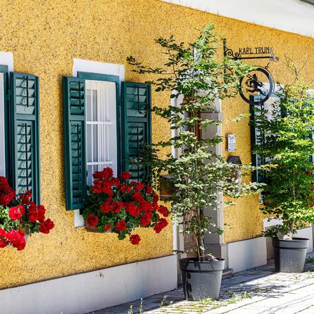 Bild enthält, Window, Plant, Flower, Flower Arrangement, City, Geranium, Potted Plant, French Window, Urban, Home Decor