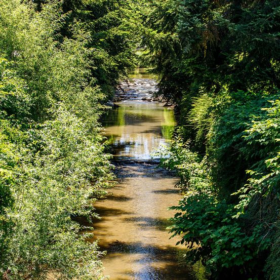Bild enthält, Outdoors, Creek, Nature, Stream, Water, Vegetation, Canal, Ditch, Jungle, Scenery