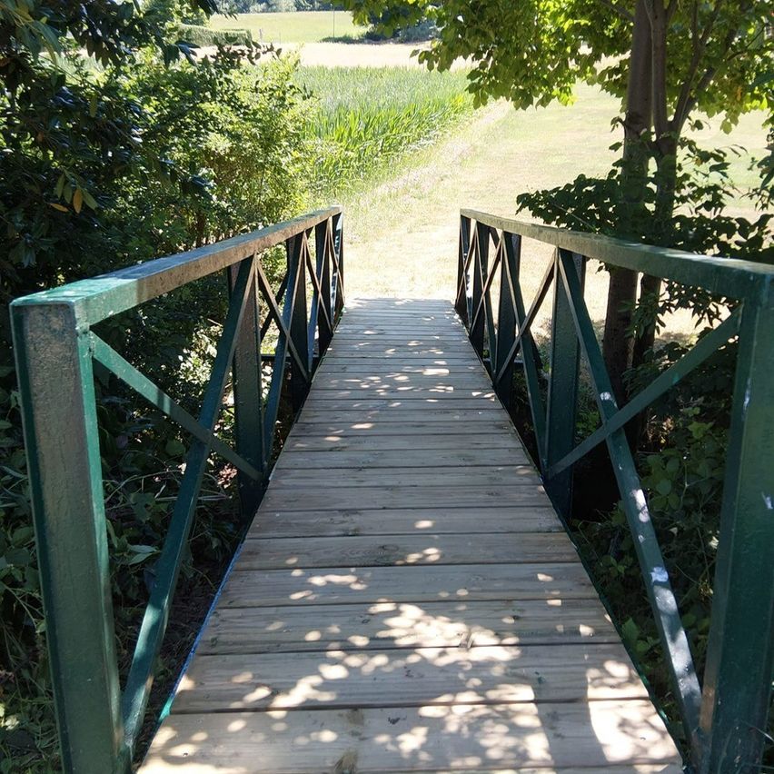 Eine Holzbrücke mit grünen Geländern befindet sich in einem Wald. Die Brücke führt zu einem Grasbereich mit Bäumen.
