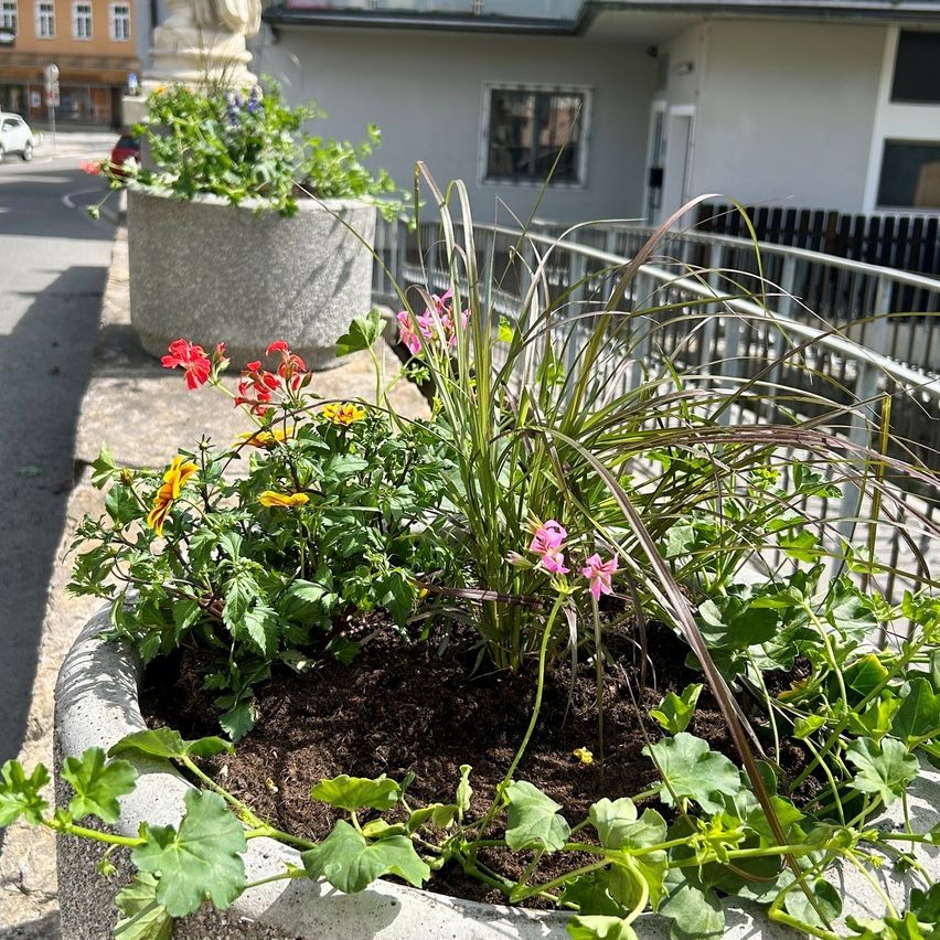 Ein Betonpflanzer voller bunter Blumen steht auf der Straße. Eine Statue und ein weißes Haus sind im Hintergrund. Das Haus hat Fenster und eine Tür. Ein Auto ist auf der Straße geparkt.