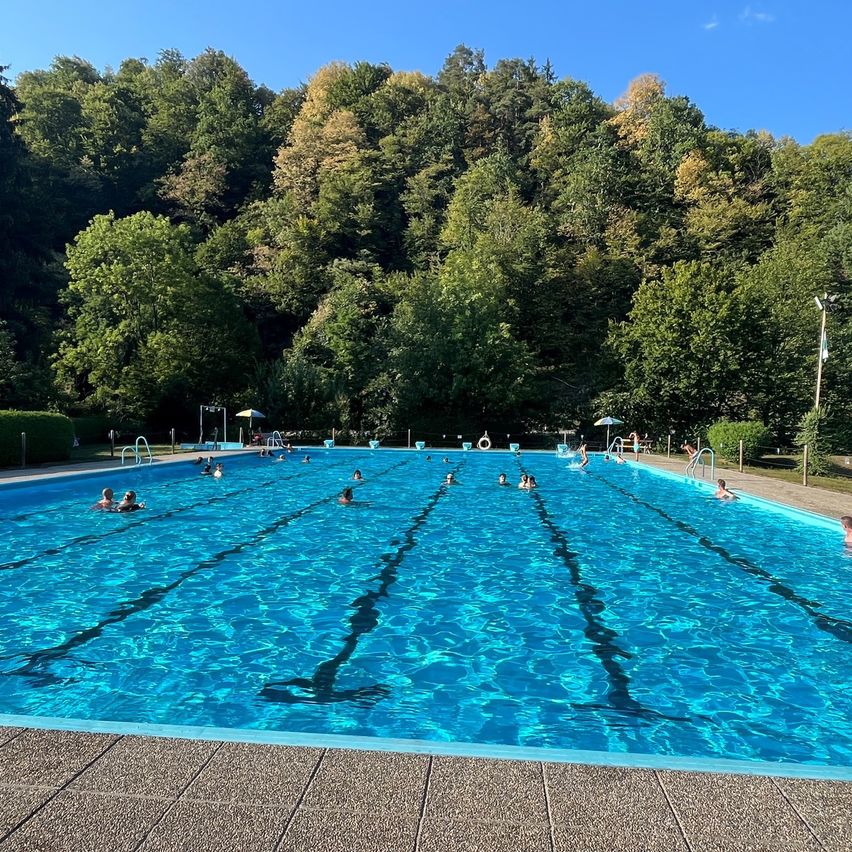 An outdoor swimming pool with several people swimming in it, surrounded by lush green trees and a clear blue sky.