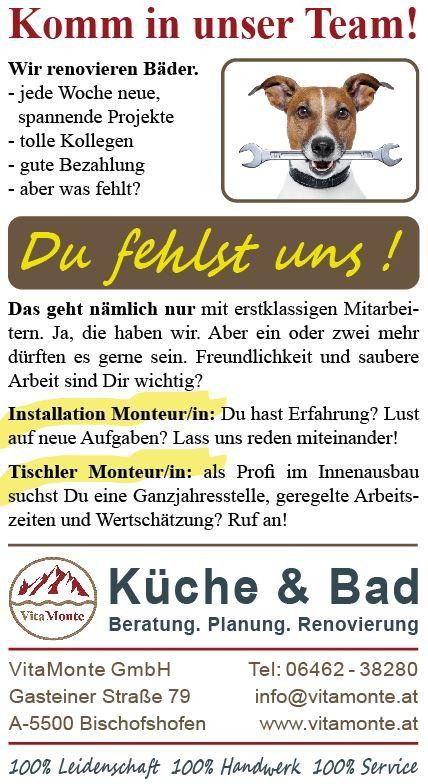 Ein Werbeplakat für VitaMonte GmbH, das ihr Team sucht, das neue Mitglieder sucht. Die Anzeige hebt Renovierungsprojekte, gute Bezahlung und die Notwendigkeit freundlicher und sauberer Arbeiter hervor. Es bietet Möglichkeiten für Installateure und Zimmerleute im Innenausbau. Kontaktinformationen werden bereitgestellt.