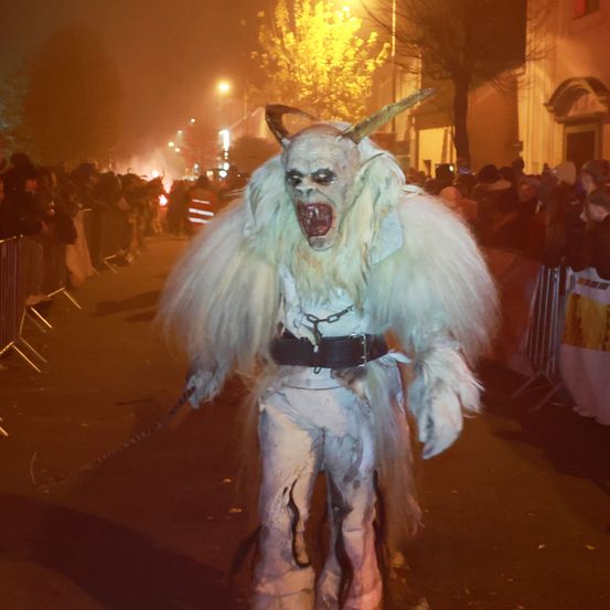 Bild enthält, Clothing, Costume, Person, Lighting, Carnival, Face, Photography, Portrait, Festival, Outdoors