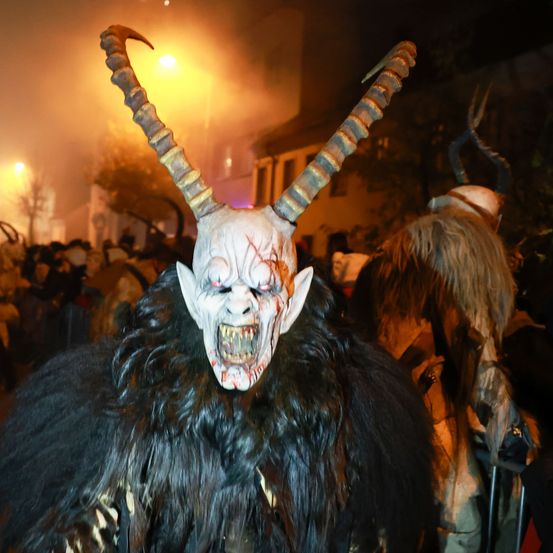 Bild enthält, Adult, Female, Person, Woman, Clothing, Costume, Crowd, Festival, Face, Urban