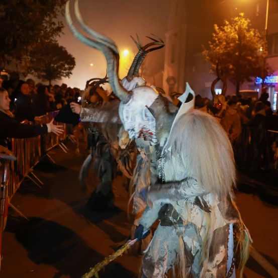 Bild enthält, Adult, Female, Person, Woman, Urban, Lighting, Face, Dinosaur, Festival, Crowd