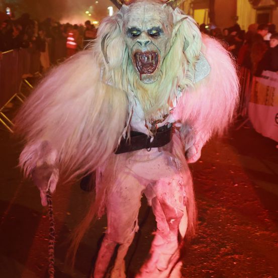 Bild enthält, Clothing, Costume, Person, Festival, Dog, Mammal, Pet, Face, Head, Halloween