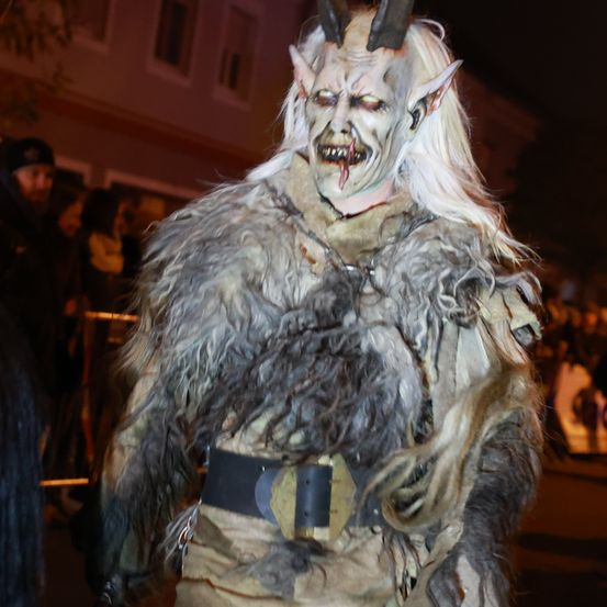 Bild enthält, Clothing, Costume, Person, Adult, Female, Woman, Male, Man, Accessories, Face