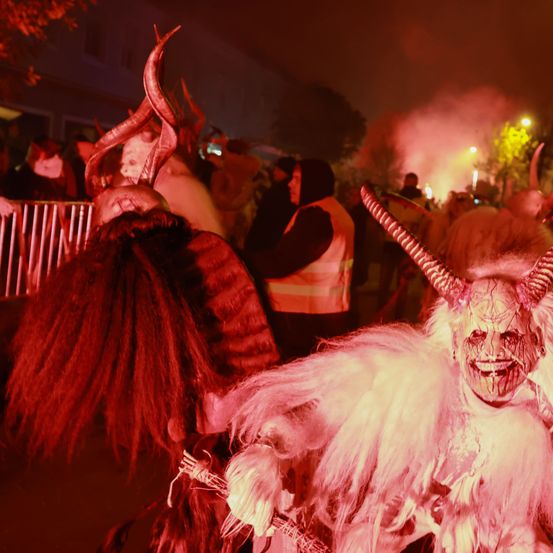 Bild enthält, Carnival, Urban, Adult, Female, Person, Woman, People, Face, Festival, Crowd
