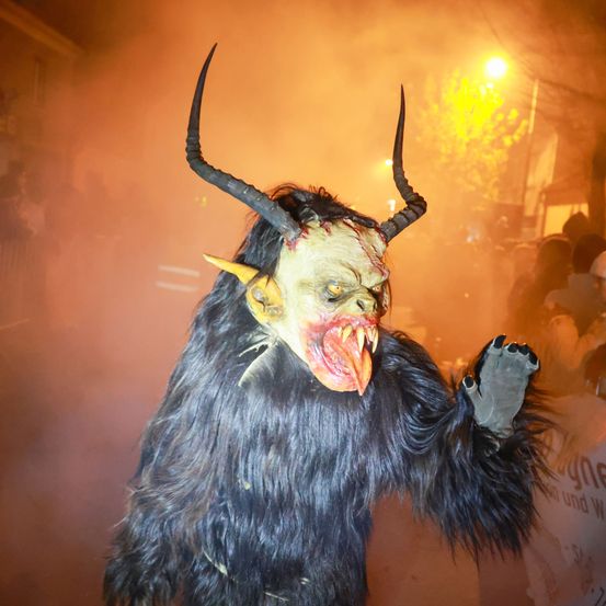 Bild enthält, Animal, Bull, Mammal, Adult, Male, Man, Person, Face, Head