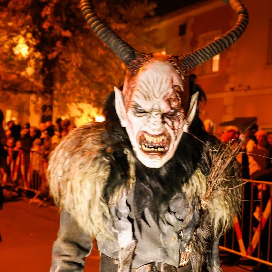 Bild enthält, Costume, Person, Adult, Male, Man, Festival, Face, Halloween, Photography, Portrait