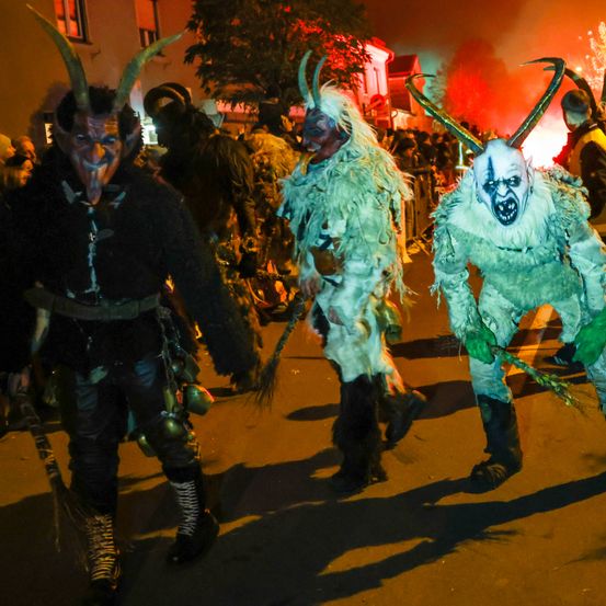 Bild enthält, Adult, Female, Person, Woman, Male, Man, People, Festival, Face, Coat