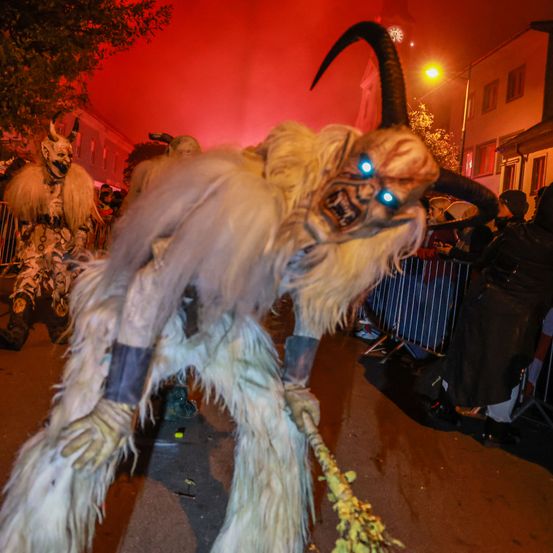 Bild enthält, Adult, Female, Person, Woman, Carnival, Festival, Face, Head, Male, Man