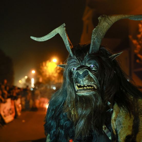 Bild enthält, Adult, Female, Person, Woman, Urban, Mammal, Livestock, Festival, Face, Goat
