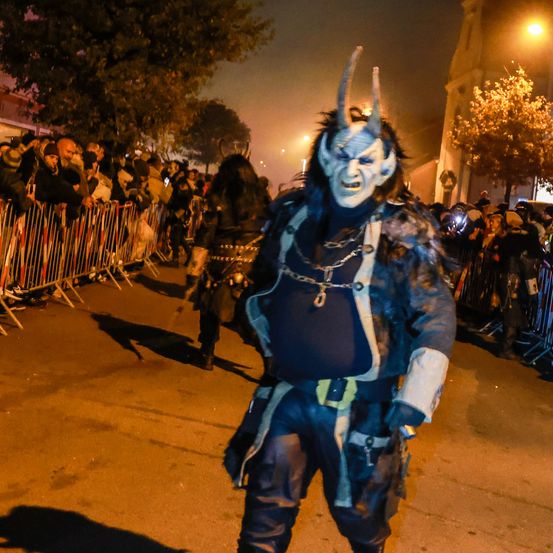 Bild enthält, Costume, Person, Urban, Face, Adult, Male, Man, People, Carnival, Crowd