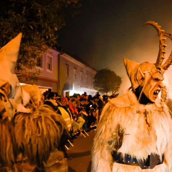 Bild enthält, Carnival, People, Person, Adult, Female, Woman, Costume, Crowd, Face, Festival
