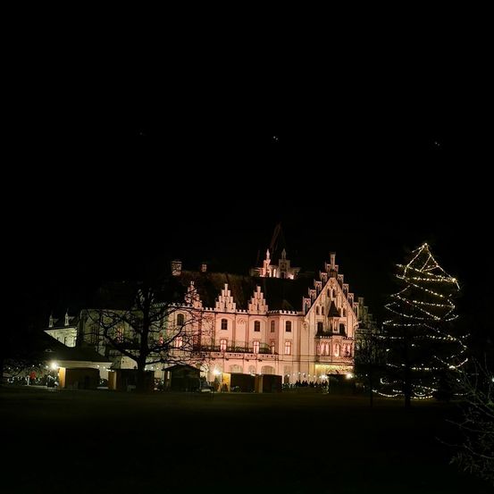 Ein großes beleuchtetes Gebäude bei Nacht mit einem Weihnachtsbaum im Vordergrund.