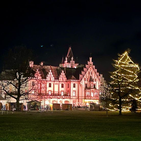 Ein Schloss ist bei Nacht hell beleuchtet, mit einem Weihnachtsbaum im Vordergrund. Viele Menschen sind versammelt.