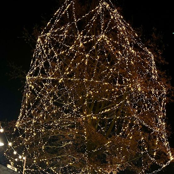 Ein Baum ist nachts mit goldenen Lichtern geschmückt, die einen warmen Schein auf die Umgebung werfen. Die Äste sind mit einem netzartigen Muster aus Lichtern verziert.
