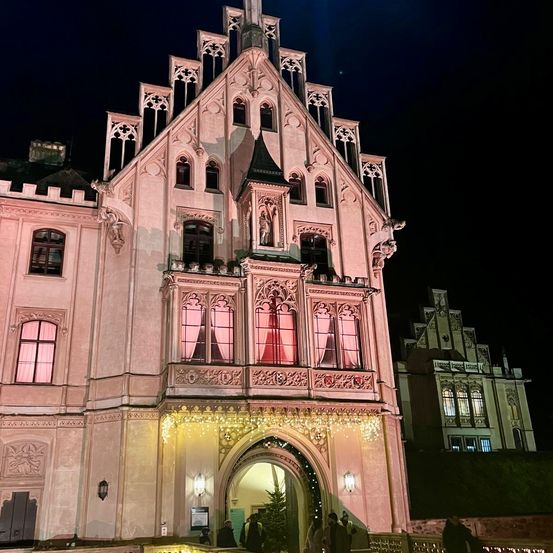 Beleuchtete gotische Architektur bei Nacht. Die rosa Fassade hat komplizierte Details, mit einer Statue auf der Spitze. Menschen betreten den gewölbten Eingang.